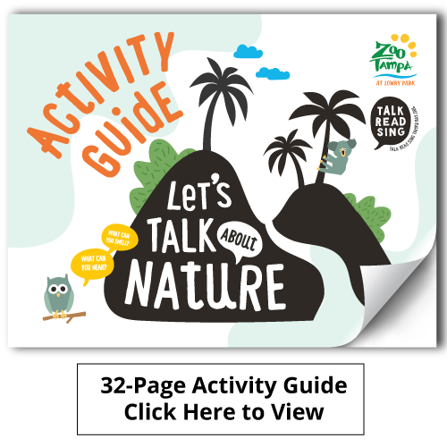 ZooTampa Activity Guide, Tamara Chapman, TC Designs
